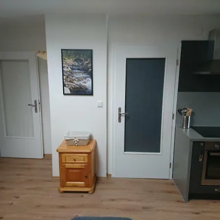 Apartment U Javoru 232/8 *